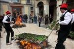 Gran Festa de la Calçotada de Valls / Spain, Catalonia